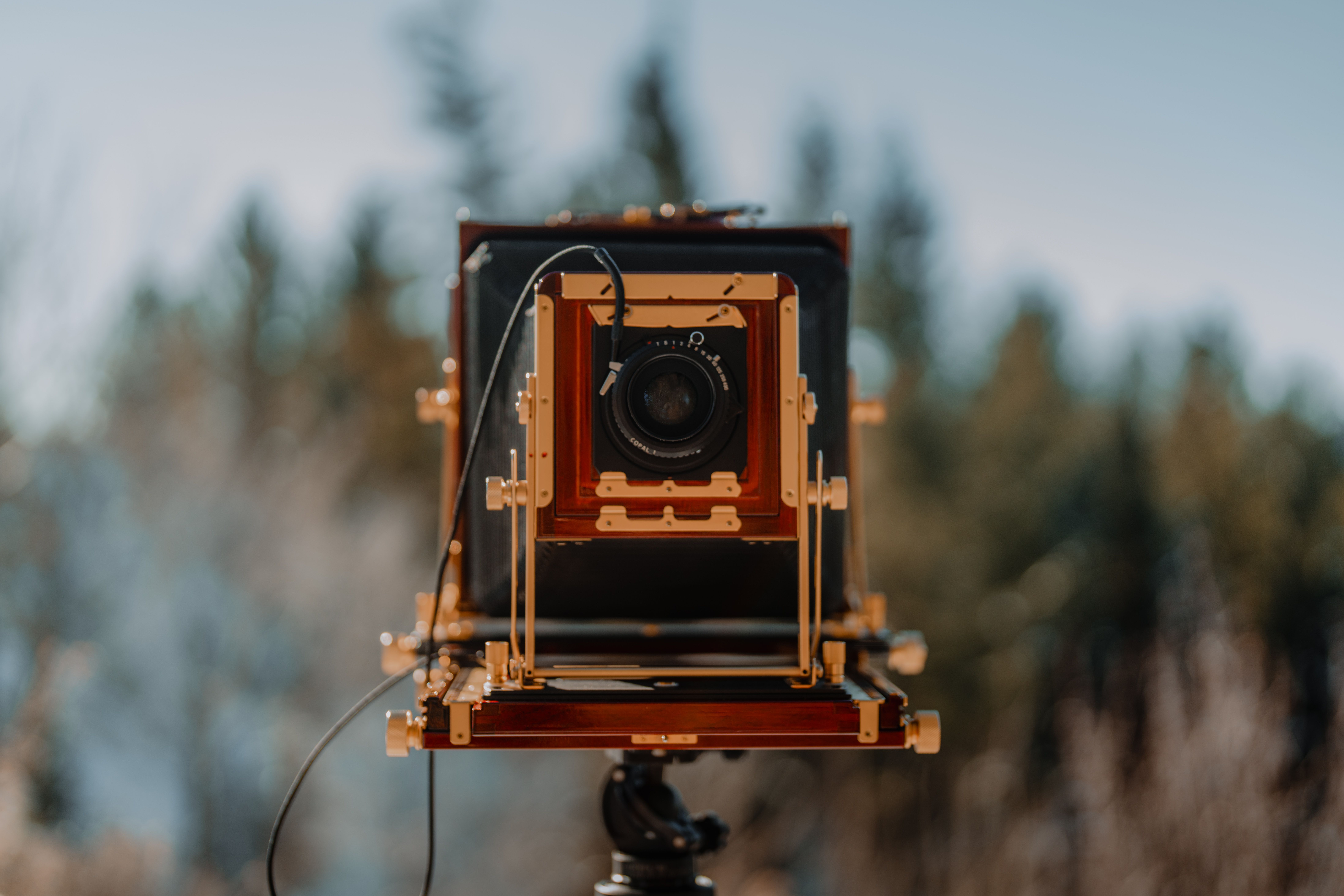 Retro Vintage B&W Photos, Download The BEST Free Retro Vintage B&W ...