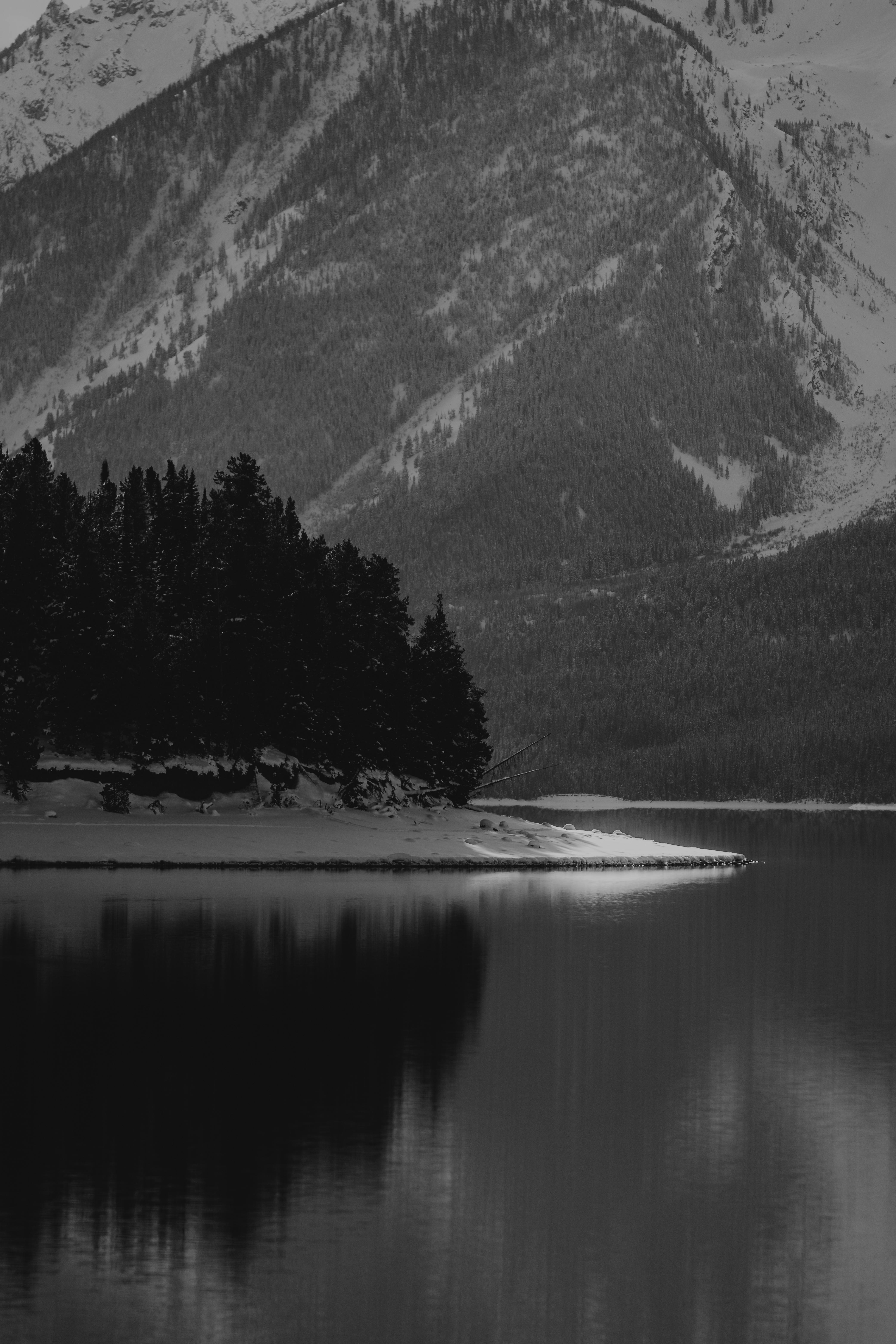 Forest Landscape Photos, Download The BEST Free Forest Landscape Stock