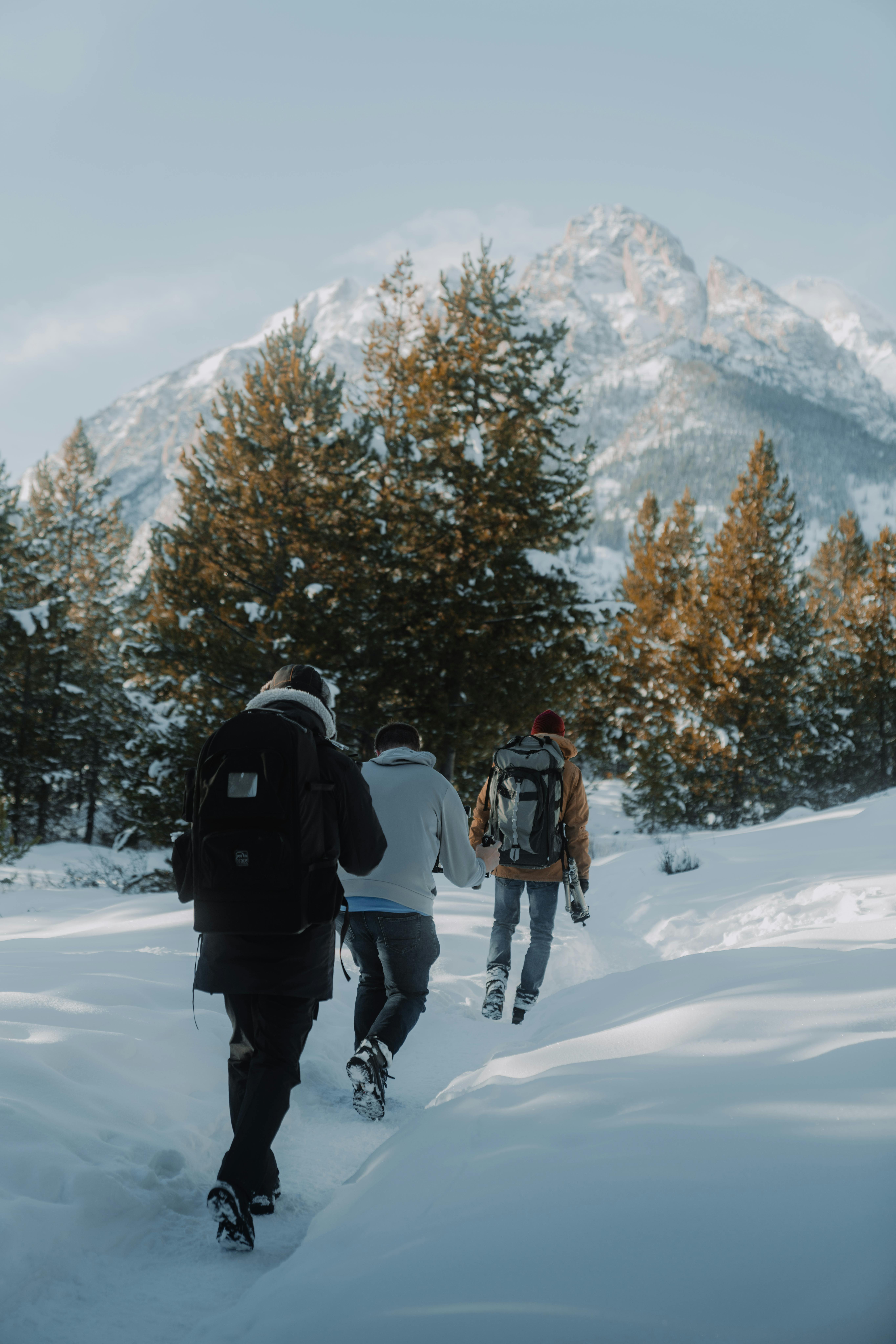 Three adults hiking in a winter forest, surrounded by snow and mountains, capturing a sense of adventure.