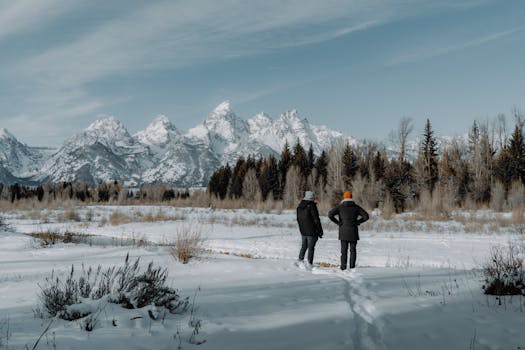 Two people stand in a snowy field, admiring the majestic snow-capped mountains and forest.