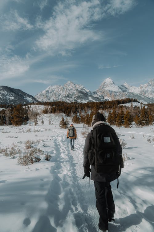 Back View of People with Backpacks Hiking in Snowy Mountains 