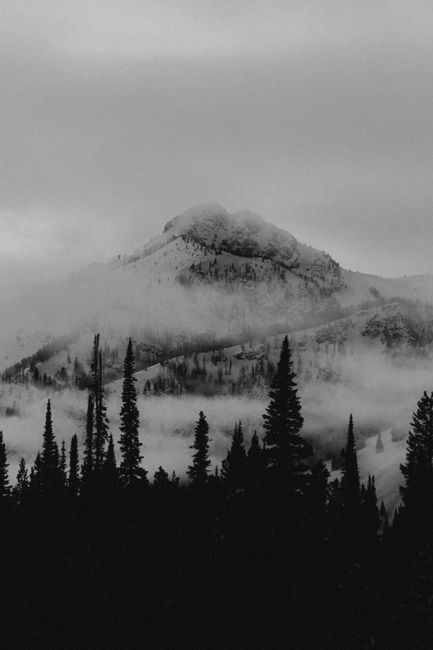 A serene winter landscape featuring a snow-covered mountain peak surrounded by mist and fir trees.