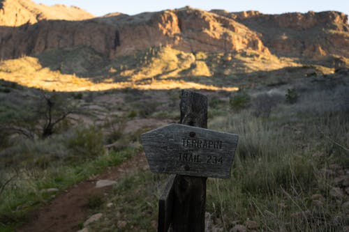 A wooden sign with the words trail in the background