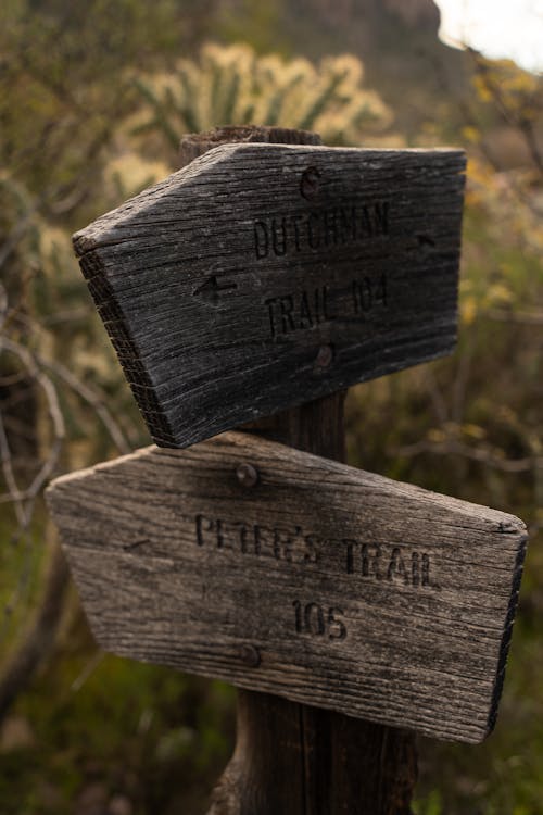 A wooden sign with two different directions on it