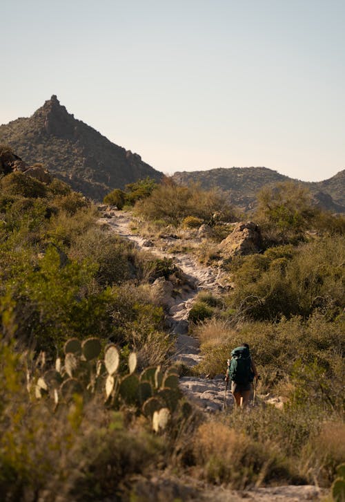 A hiker on a trail in the desert
