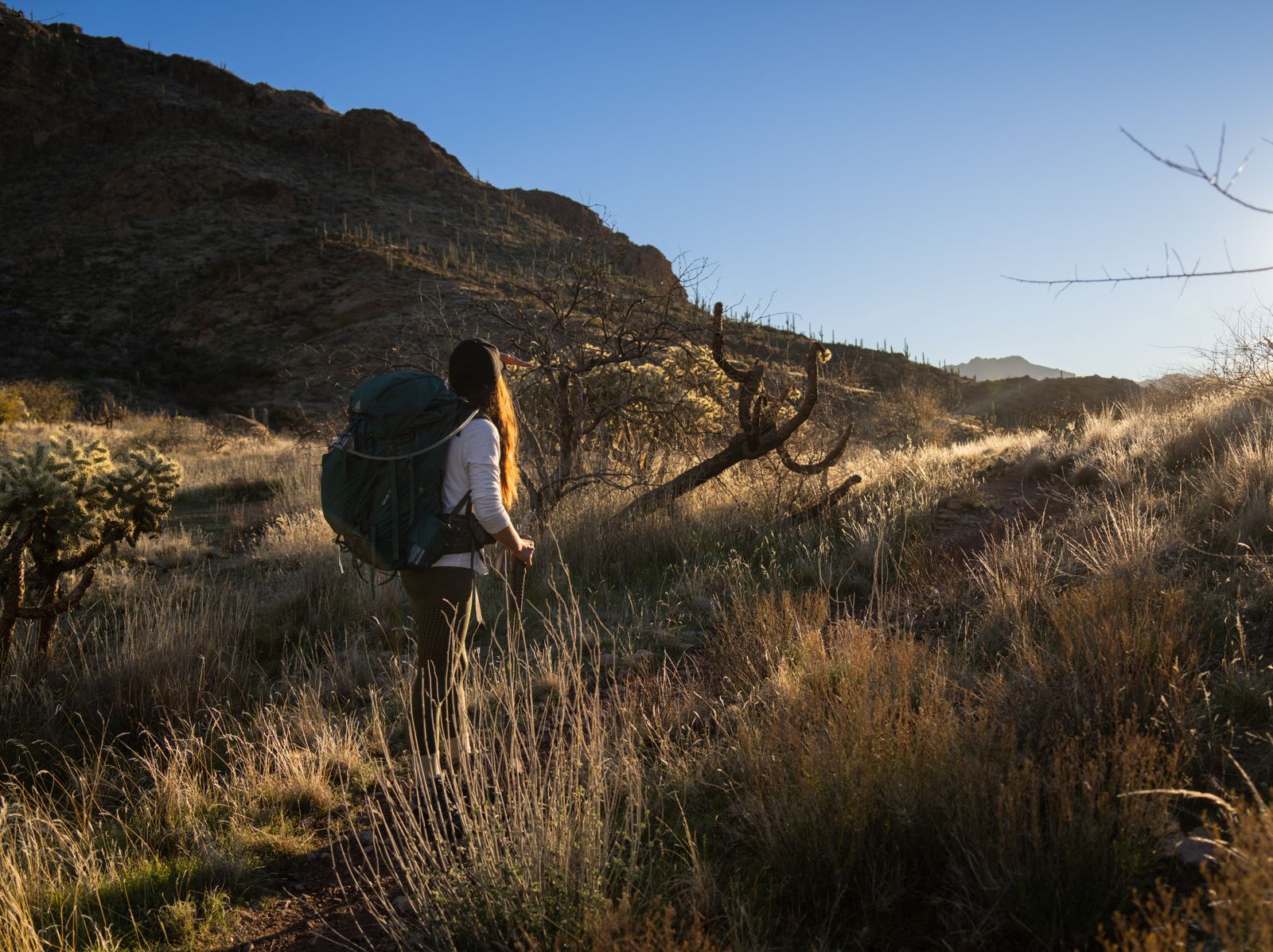 Solo female hiker with backpack on mountain trail in summer