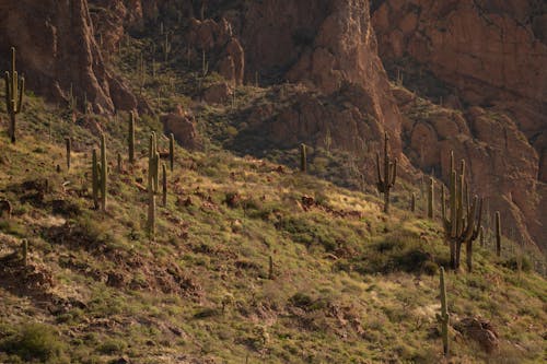 Безкоштовне стокове фото на тему «Арізона, гірки забобонів, гори»