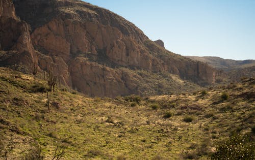 乾旱, 亞利桑那州, 仙人掌 的 免費圖庫相片