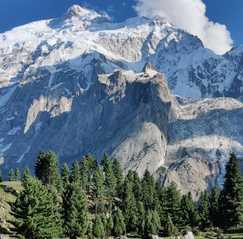 Free A stunning view of snow-capped mountains and green conifers in Gilgit, emphasizing nature's beauty. Stock Photo
