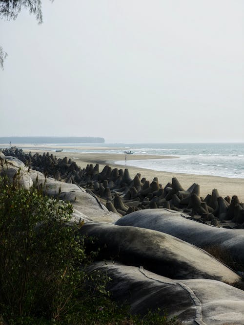 View of a Long Line of Tetrapods on a Shore 