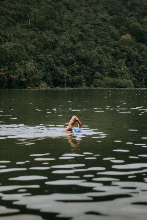 A person swimming in a lake with a paddle