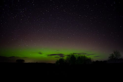 The aurora bore is seen in the sky over a field