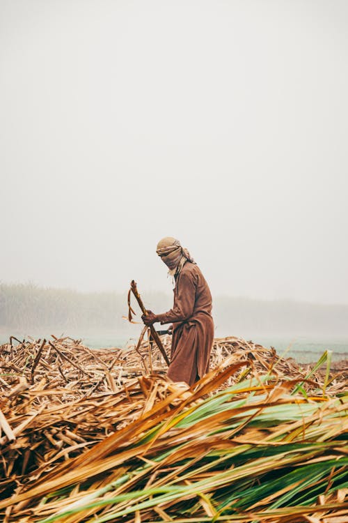 A man is working in the field with a cane