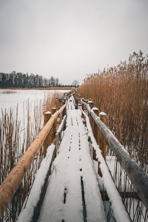 Wooden Footbridge on Lake in Winter