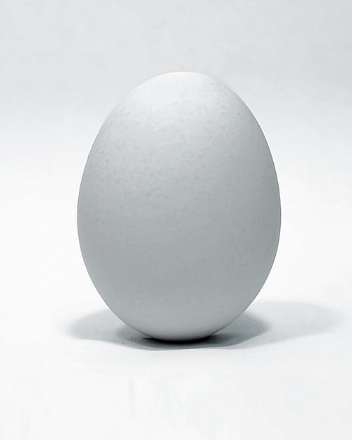 ovo branco