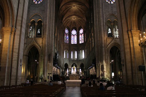 Darmowe zdjęcie z galerii z francja, gotycka architektura, katedra