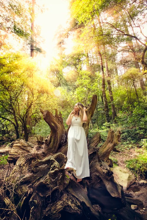 Základová fotografie zdarma na téma bílé šaty, blond, kmen stromu