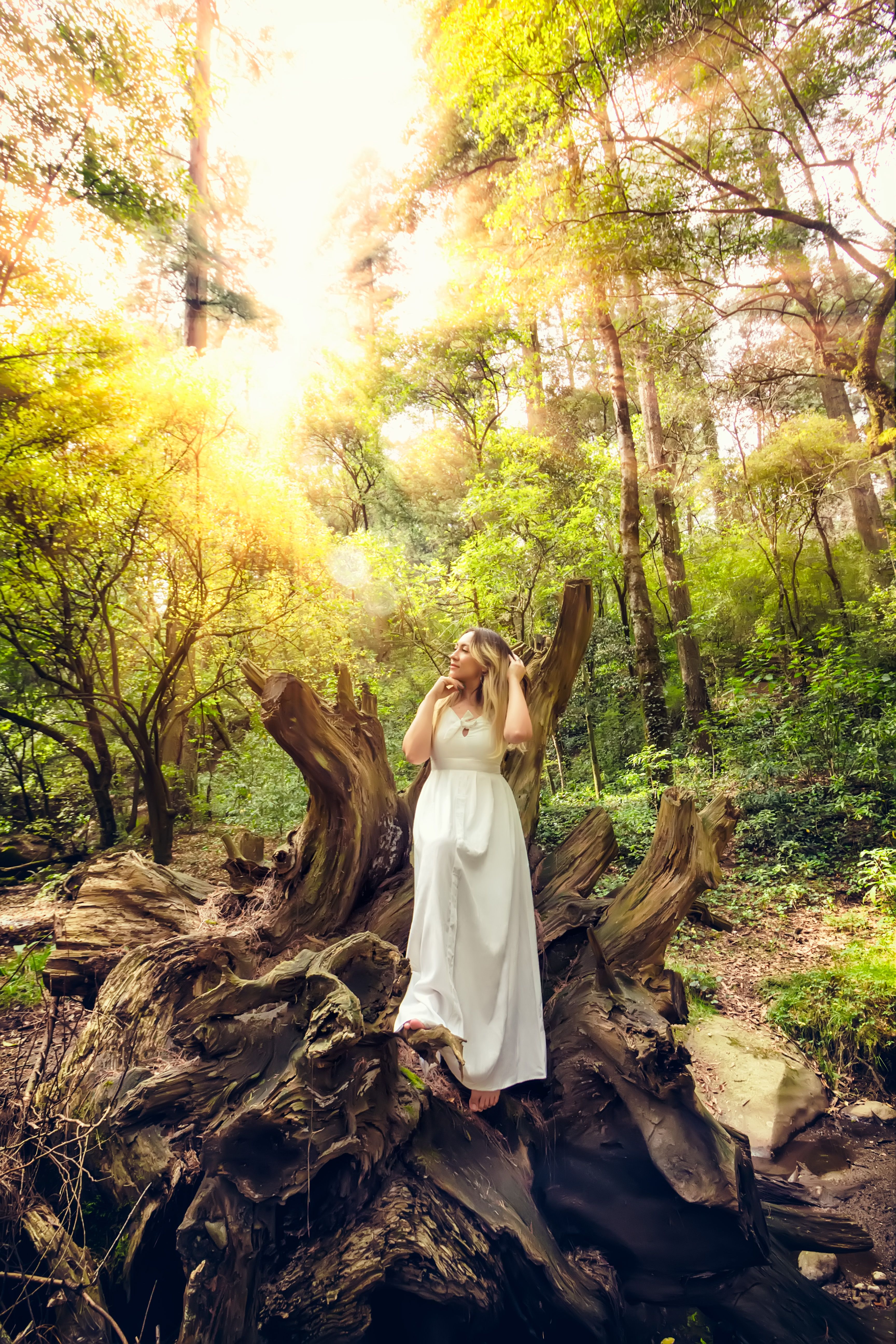 Woman in a White Dress Posing in a Forest · Free Stock Photo