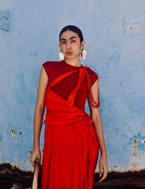 Základová fotografie zdarma na téma brunetka, červené šaty, elegantní