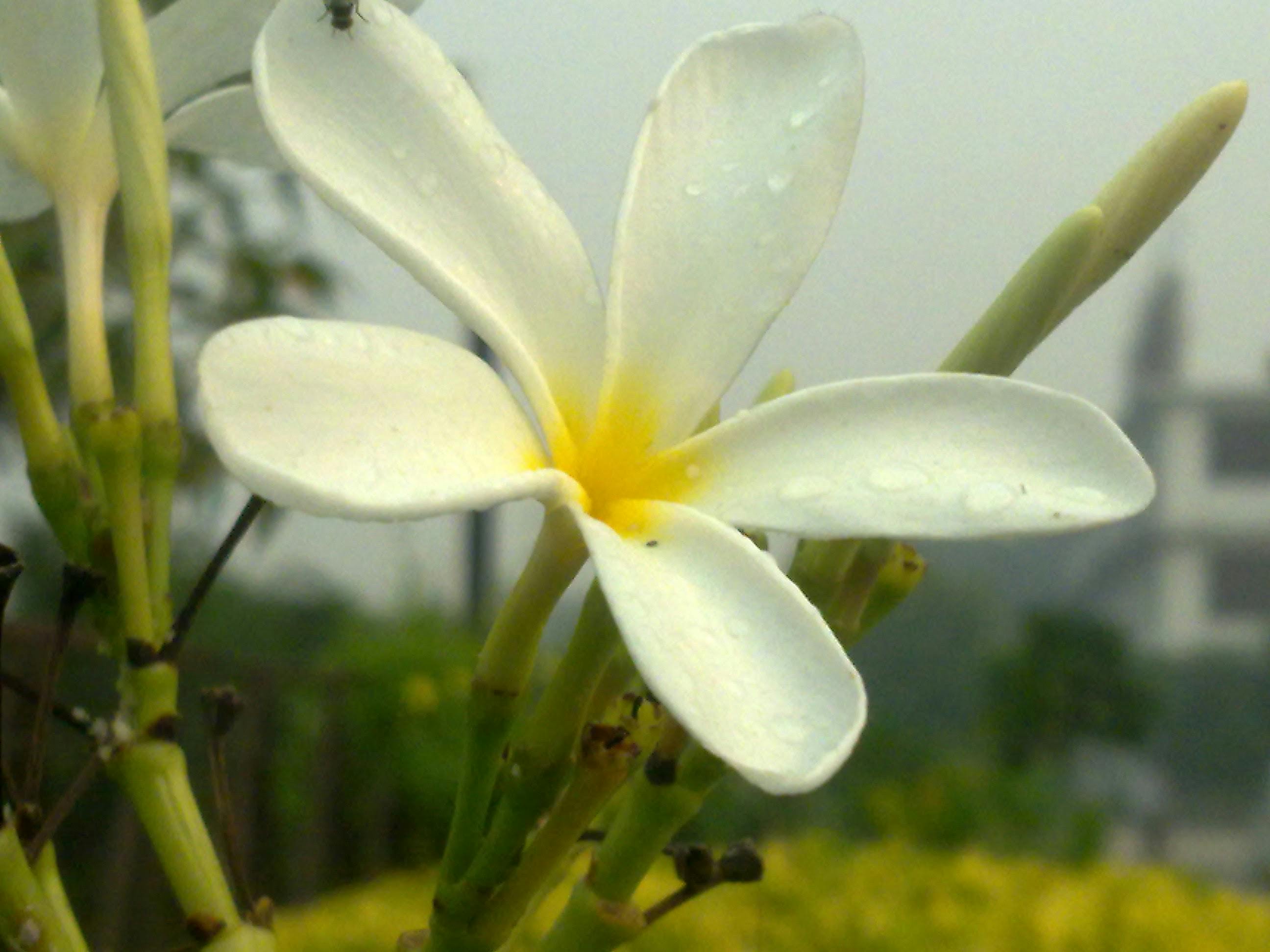 Desain Interior Rumah