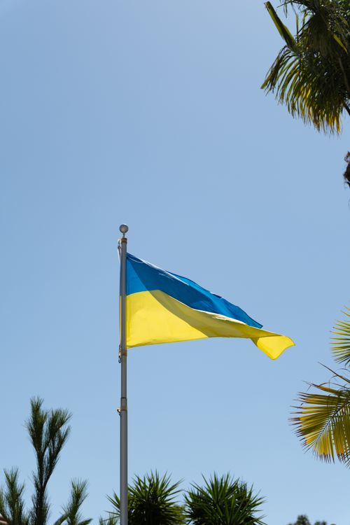 Free Ukrainian flag waving on a flagpole amidst palm trees and a clear blue sky, symbolizing patriotism. Stock Photo