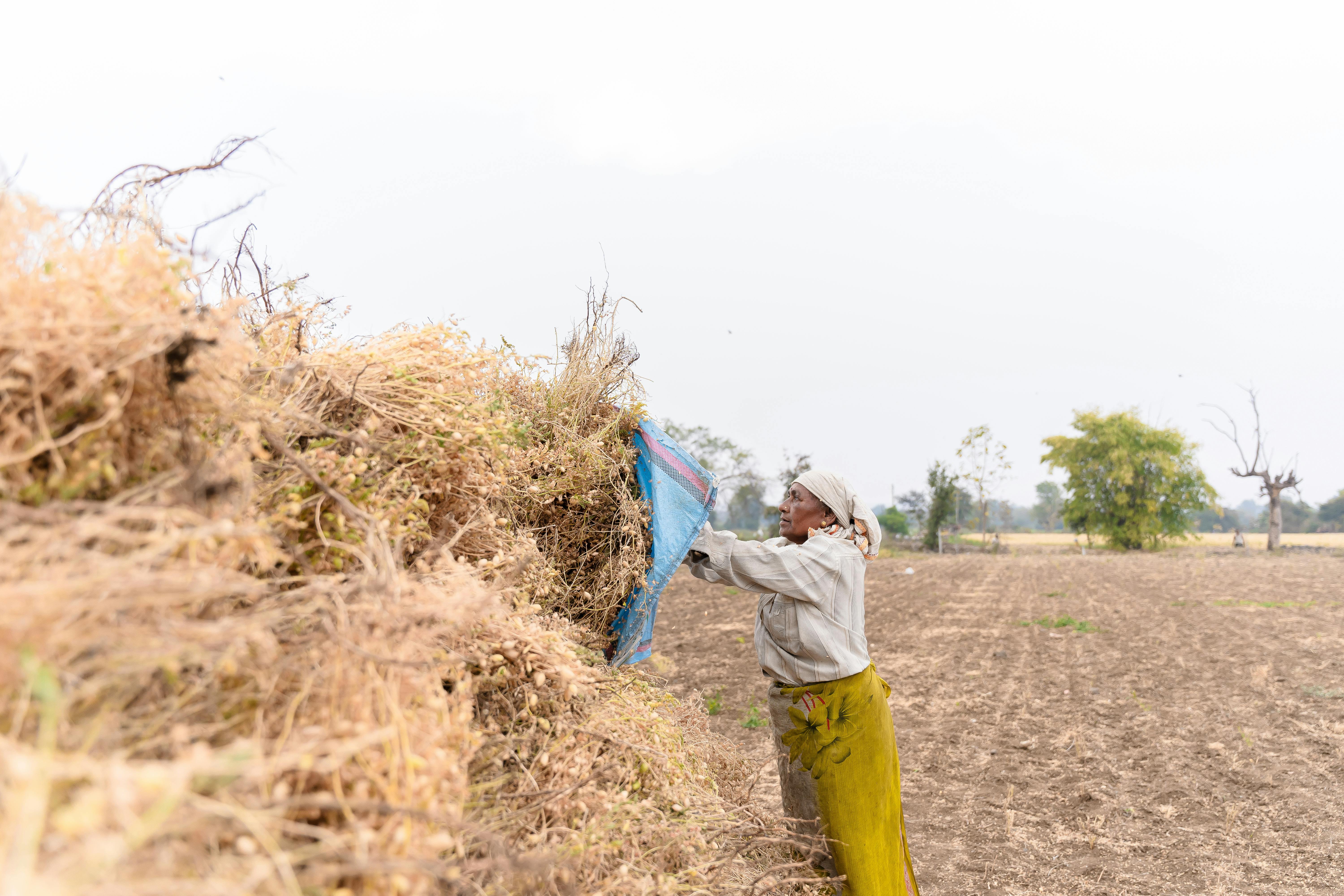 Woman Working on Rural Field · Free Stock Photo