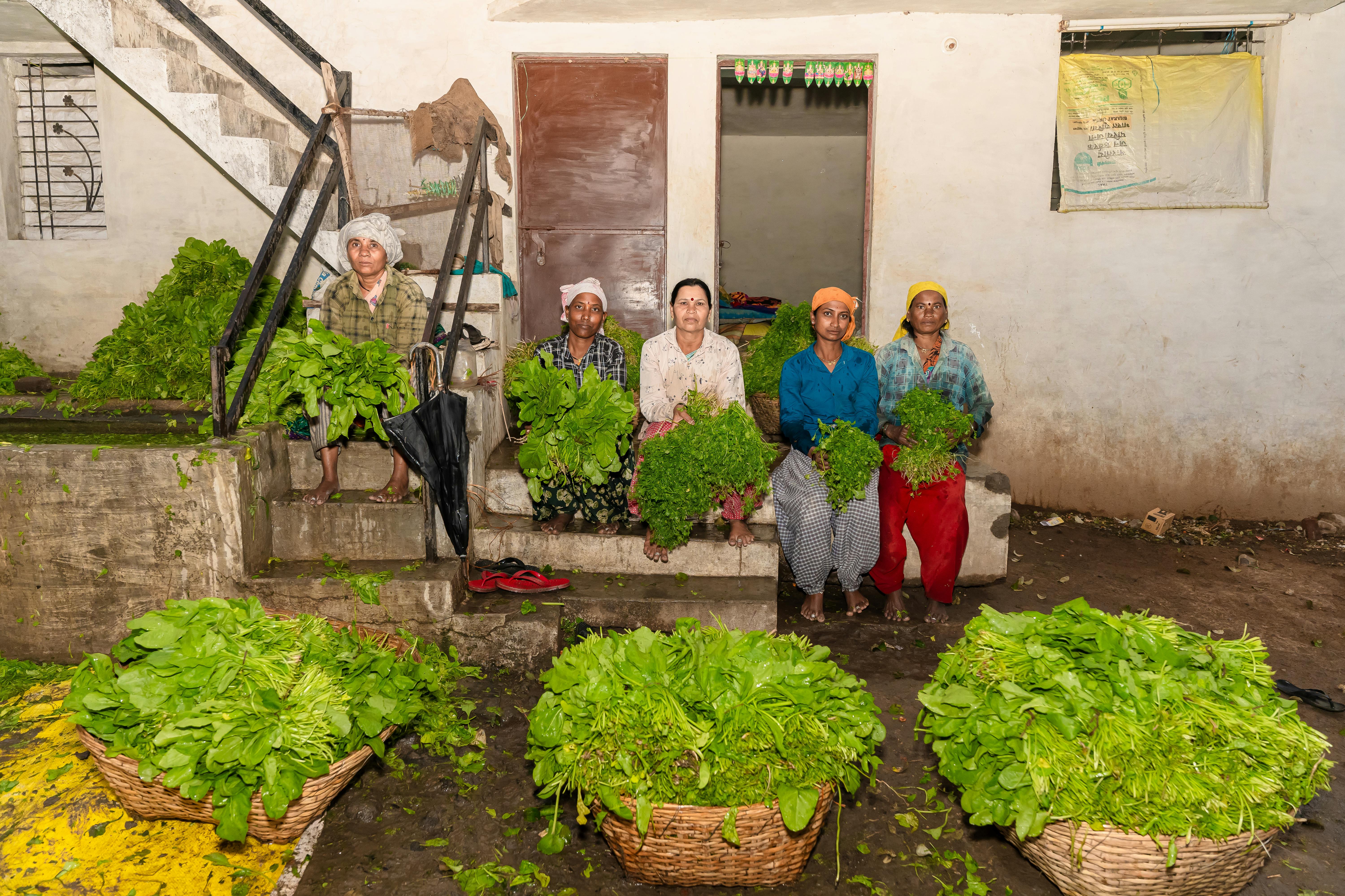 Empowering Tripura's Local Economy: A Guide to Government Loan Schemes for Small Businesses and Farmers