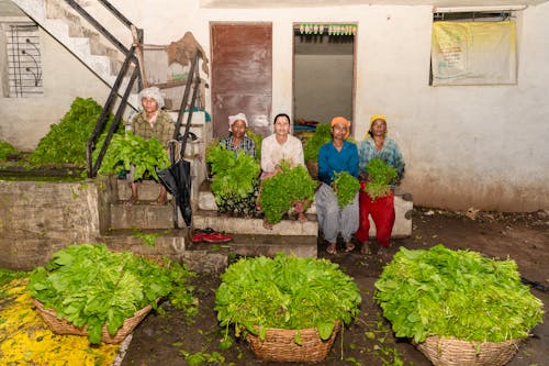 Farmers in India