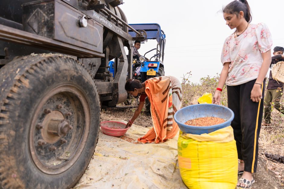 Uttarakhand Rudraksh Farming Migration