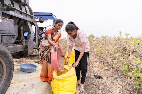 Farmers in India