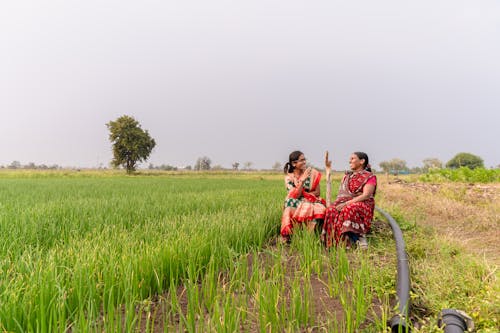 Farmers in India