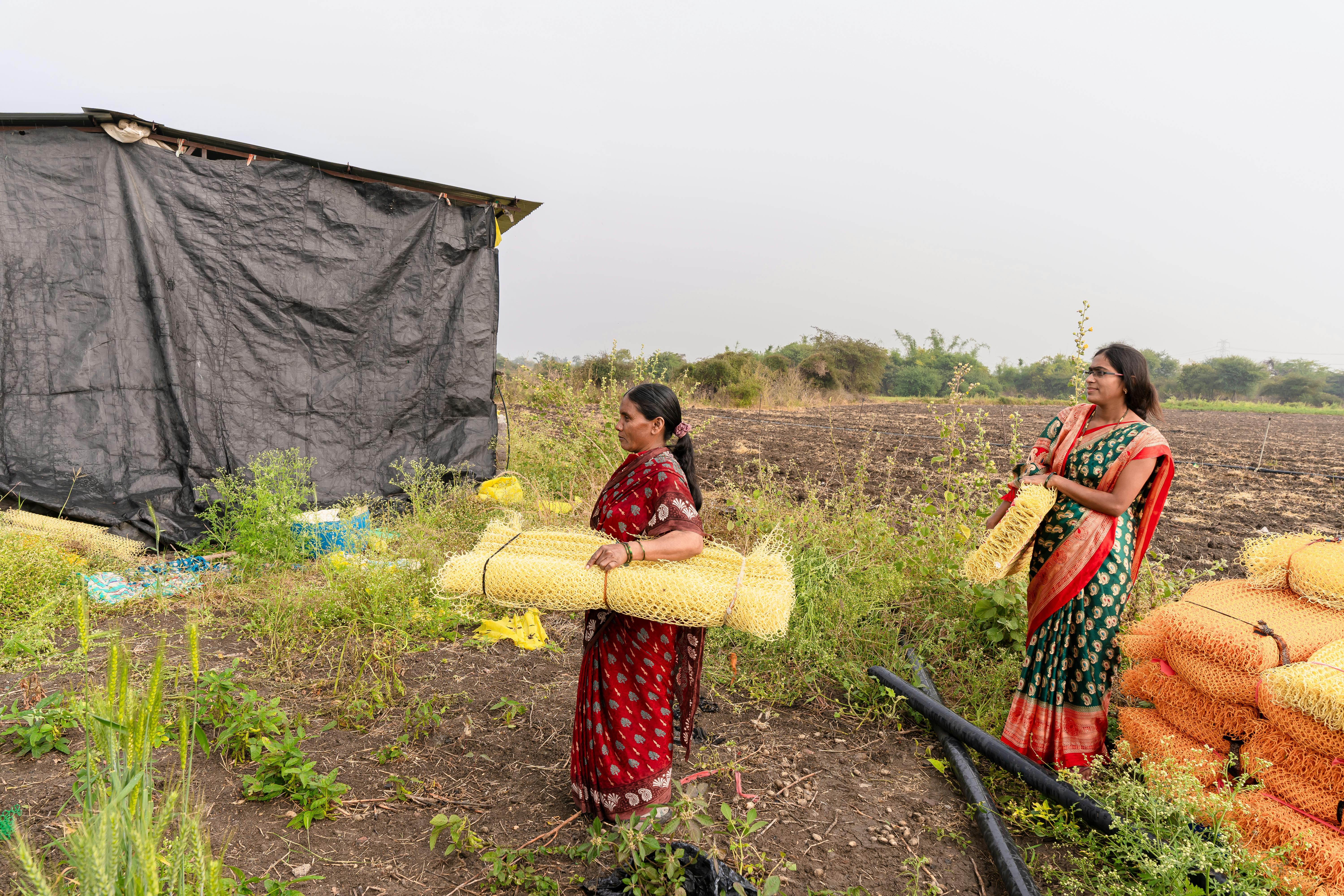 Biofarm insights image