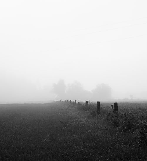 A black and white photo of a fence in the fog