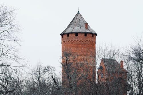 Imagine de stoc gratuită din arbori, călătorie, castelul turaida