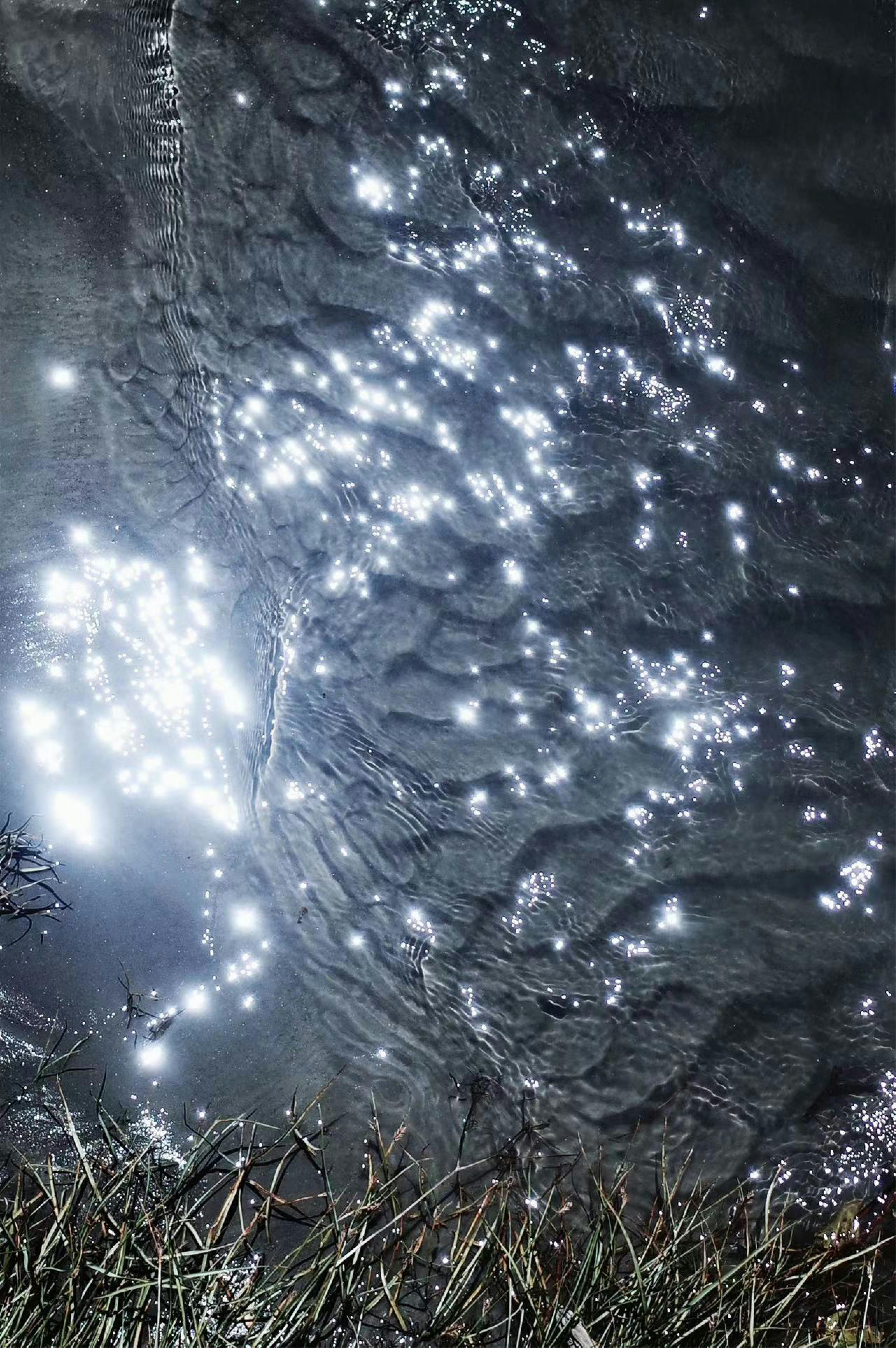 Sunlight sparkles on rippling water, creating a serene and textured visual effect.