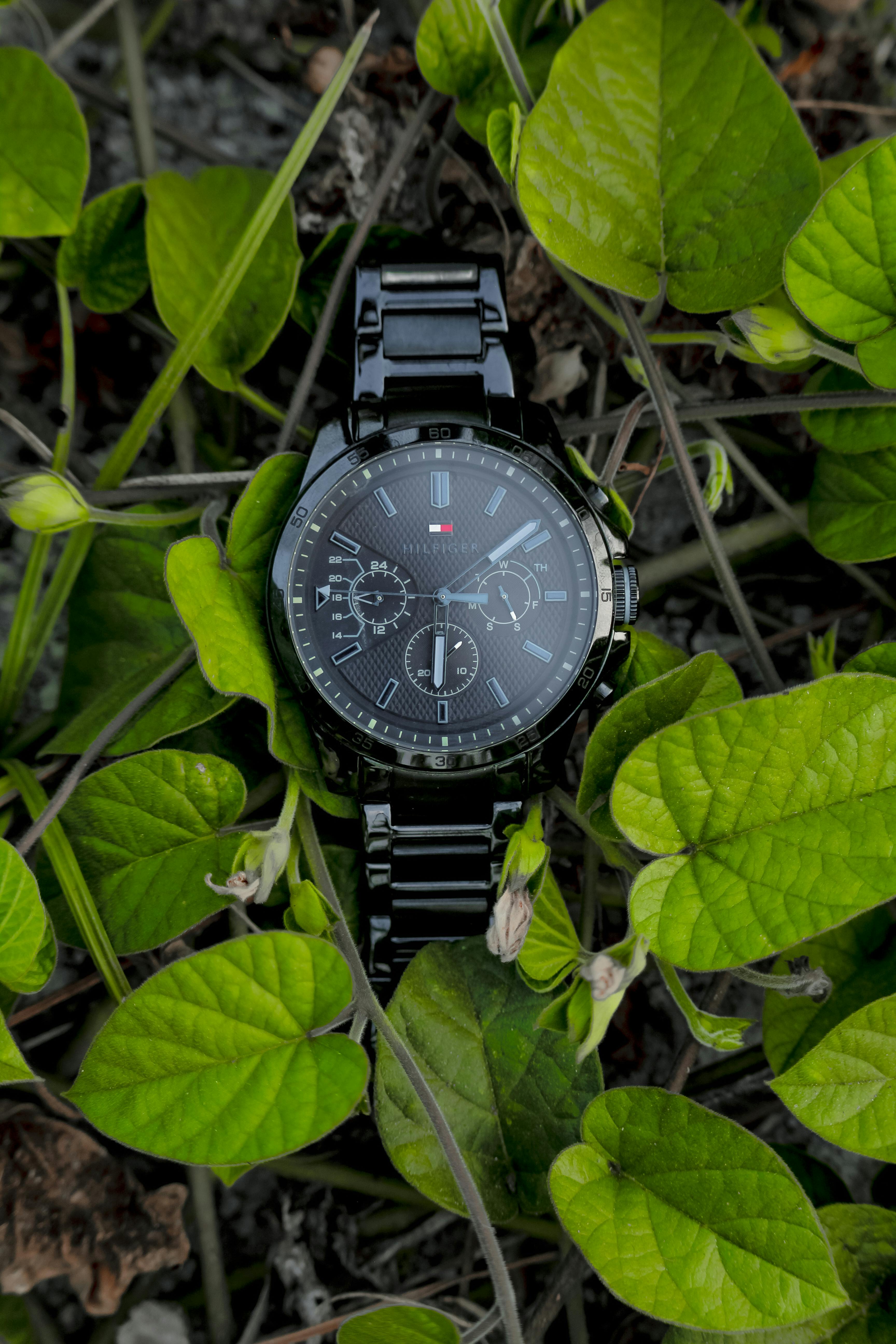 Tommy Photos, Download The BEST Free Tommy Stock Photos & HD Images