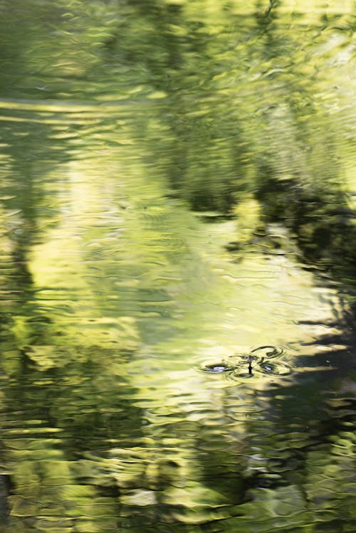 Darmowe zdjęcie z galerii z jezioro, natura, odbicie
