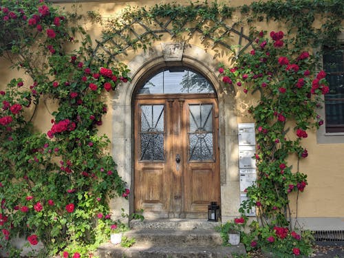 Arched Door Surrounded with Climbing Roses 