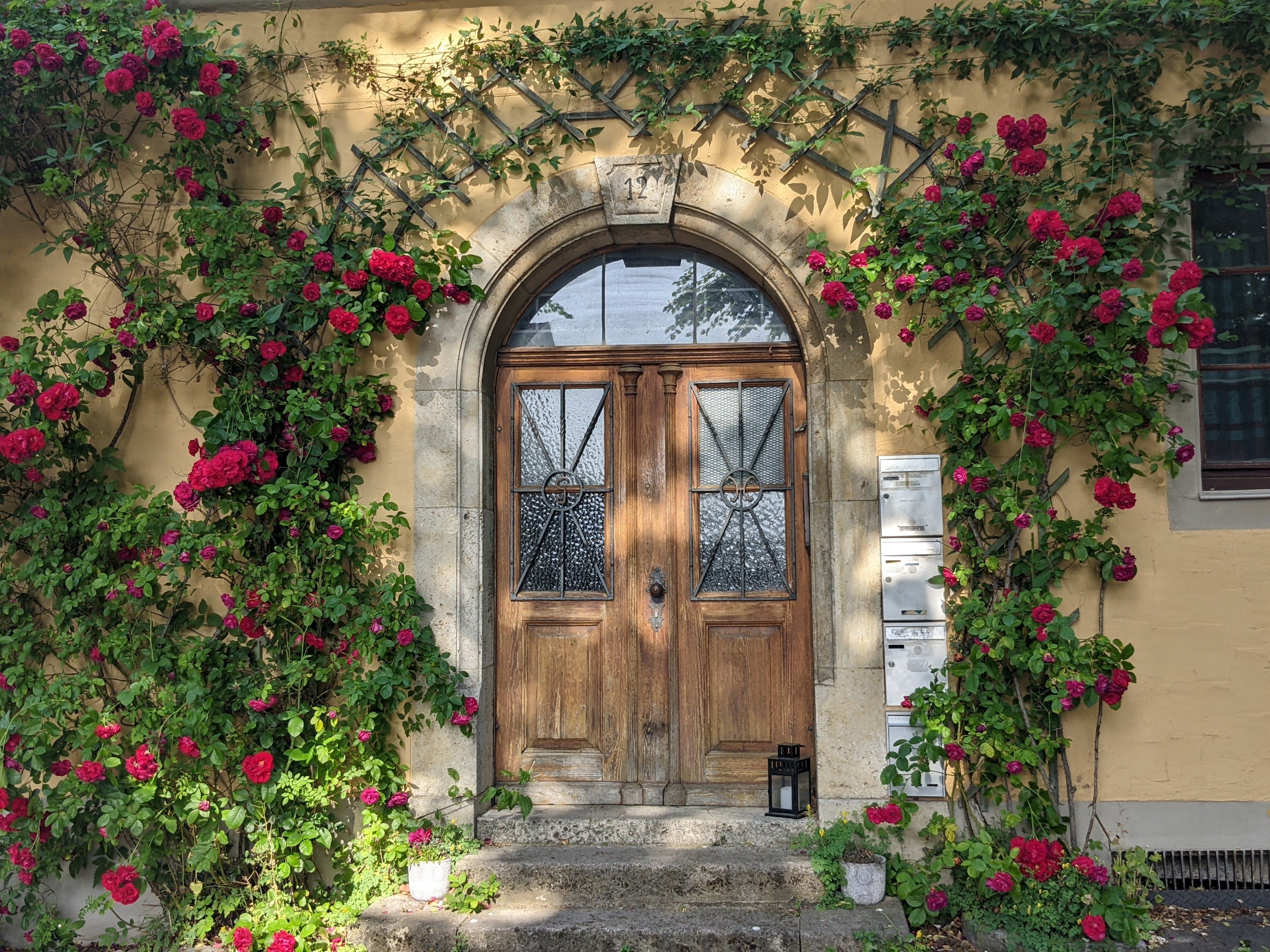 Arched Door Surrounded with Climbing Roses · Free Stock Photo