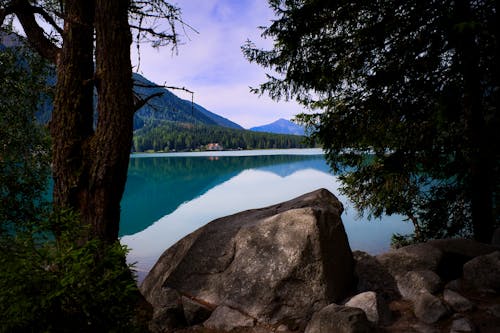 Immagine gratuita di alberi, calma, lago