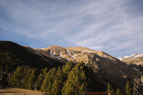 A mountain range with snow covered trees and a cabin