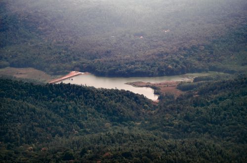 Free A breathtaking aerial view showcasing a lush forest surrounding a tranquil lake, captured on a misty day. Stock Photo