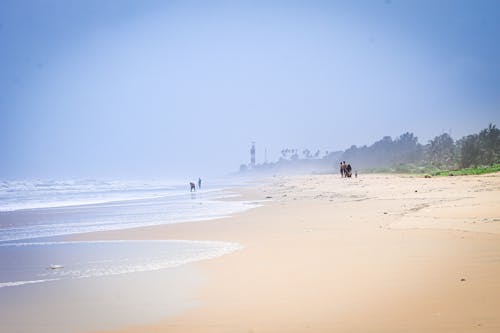 A beach with people walking on the sand