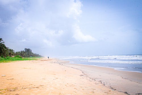 A beach with a person walking on it