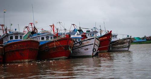 Several boats are parked in the water