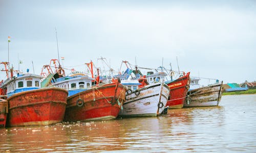A group of boats are docked in the water