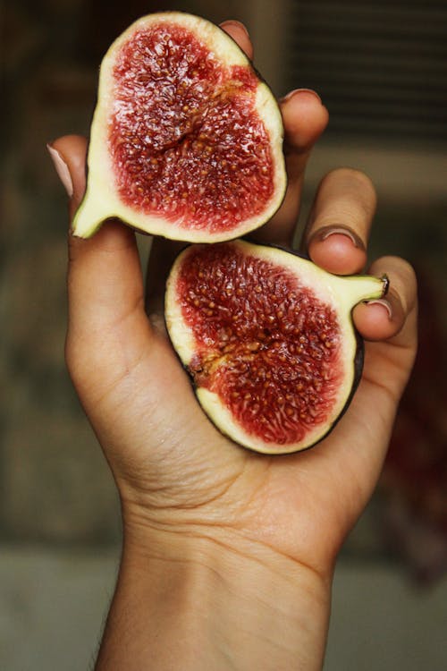 Free Person Holding Fruit Stock Photo