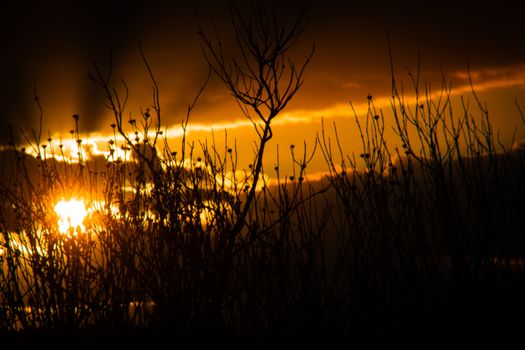 A dramatic sunset casts light through silhouetted branches in Alhaurín de la Torre, Spain.