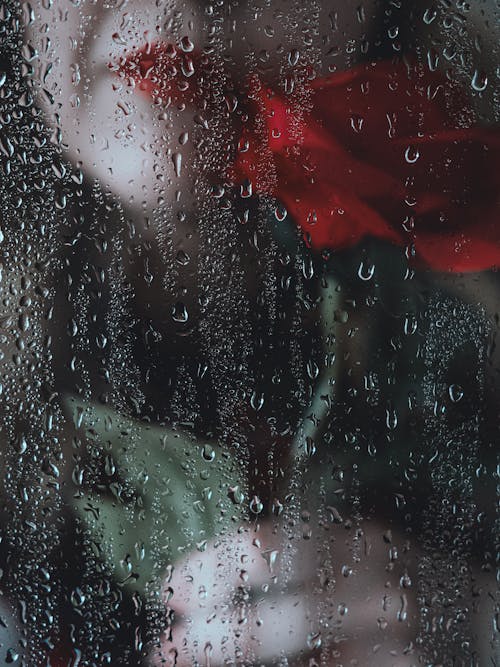 A woman with a red rose in her hand is looking through a rain covered window