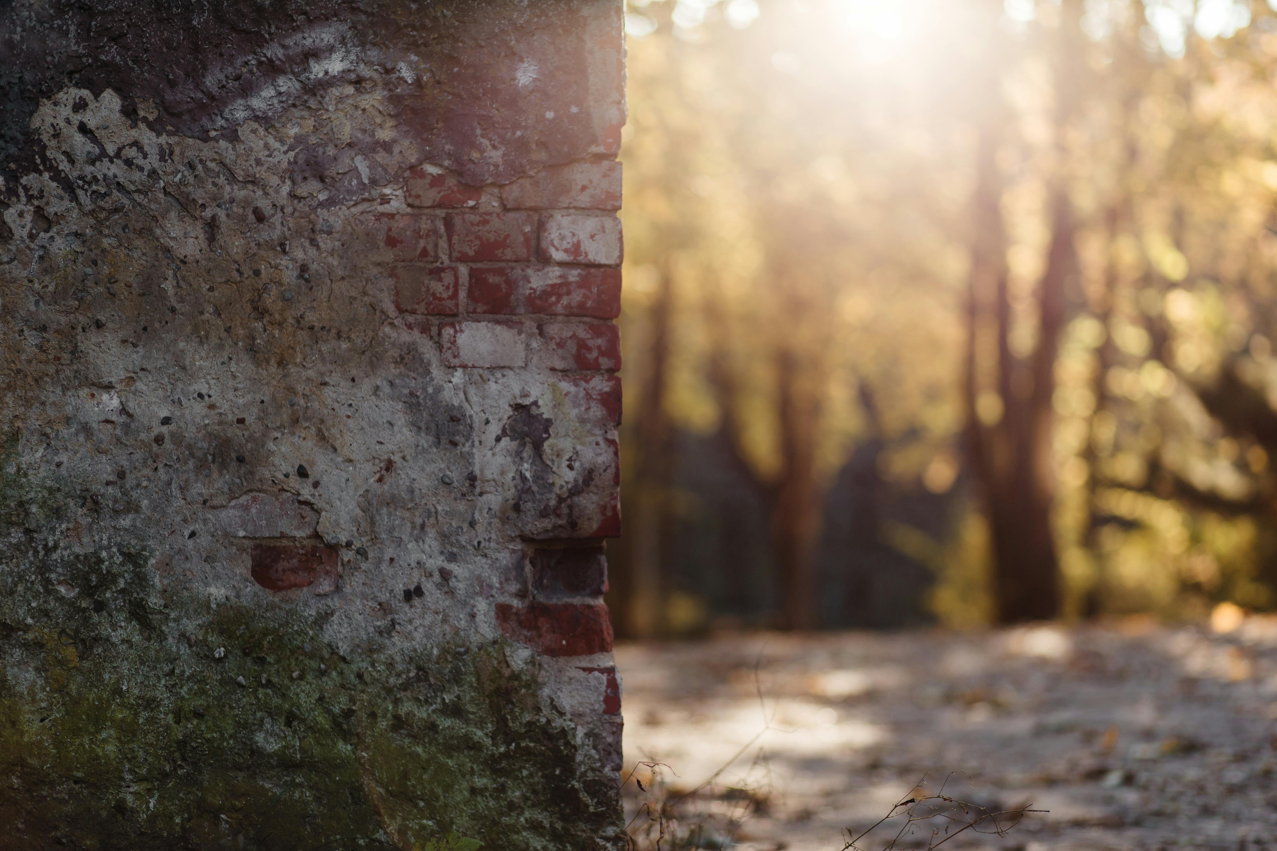 Shallow Focus Photography of Brown and Gray Bricked Wall · Free Stock Photo